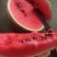 热销中陕西西瓜甜王西瓜大量上市中质量三包
