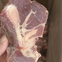 多肉牛脖骨肉多骨少厂家直发供应各大饭店全国发货