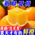 江西赣南脐橙5斤10斤20斤装现摘现发包邮一件代发福利等