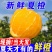 江西赣南脐橙5斤10斤20斤装现摘现发包邮一件代发福利等