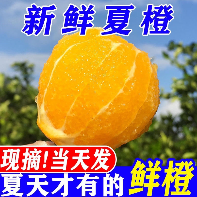 江西赣南脐橙5斤10斤20斤装现摘现发包邮一件代发福利等