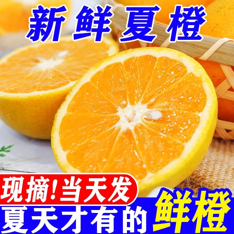 江西赣南脐橙5斤10斤20斤装现摘现发包邮一件代发福利等