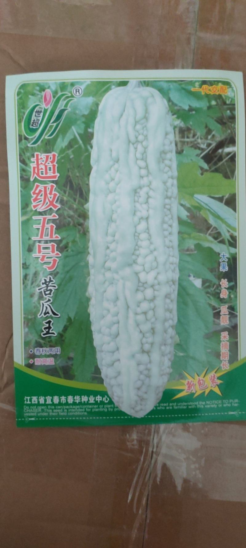 长白苦瓜种子薄皮苦瓜种子白苦瓜种子