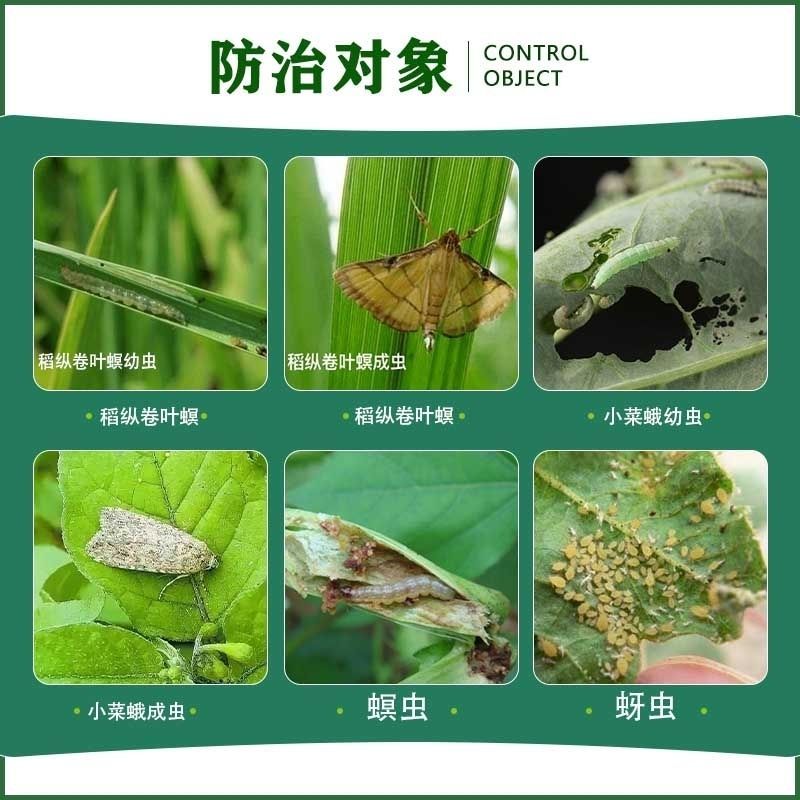 沪联阿维菌素杀虫剂卷叶螟菜青虫红蜘蛛小菜蛾蚜虫螨虫农药