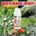 沪联阿维菌素杀虫剂卷叶螟菜青虫红蜘蛛小菜蛾蚜虫螨虫农药