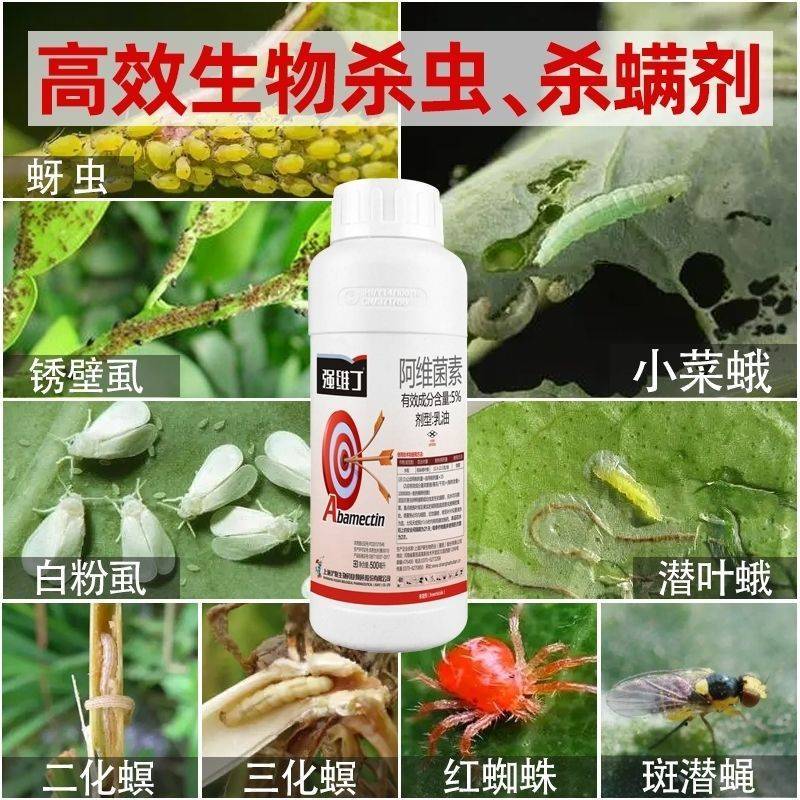 沪联阿维菌素杀虫剂卷叶螟菜青虫红蜘蛛小菜蛾蚜虫螨虫农药