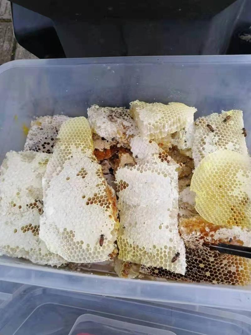 【精品】野生蜂蜜保质保量，质量好价格优，数量有限欢迎订购