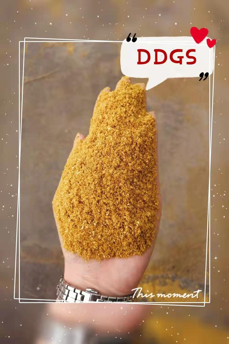 一手货源厂家直销烘干玉米蛋白饲料DDGS量大从优