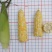 中农斯达密甜糯4号玉米种子甜加糯玉米种籽黄白色甜糯玉米种