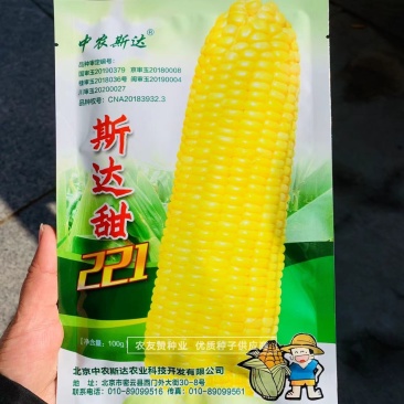 中农斯达水果玉米种子斯达甜221甜玉米种子