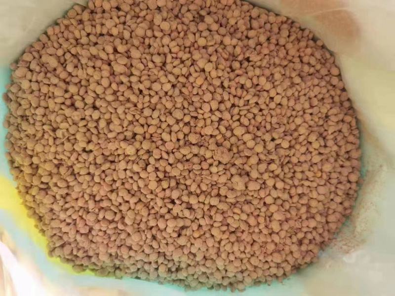发酵豆蛋白，蛋白质17%.蛋白转化成小分子肽，氨基酸等被