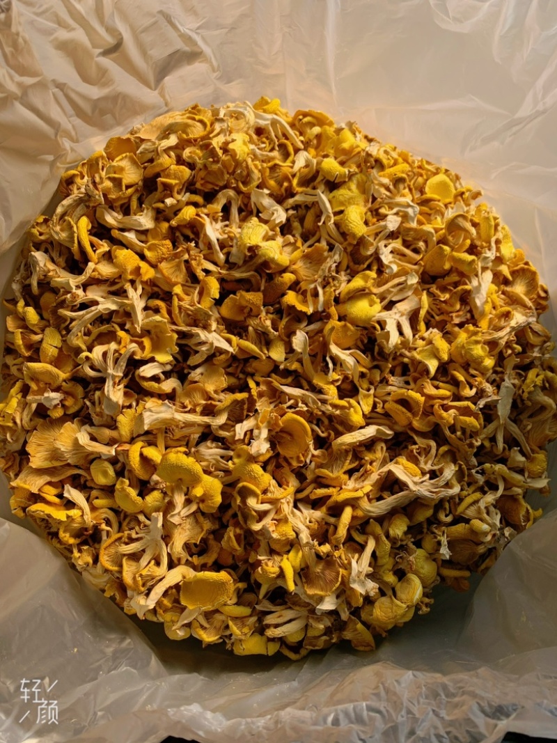 烘干鸡油菌，大量烘干鸡油菌，价格好商量……云南本地货，