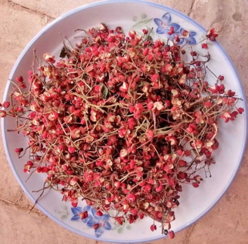 大红袍花椒