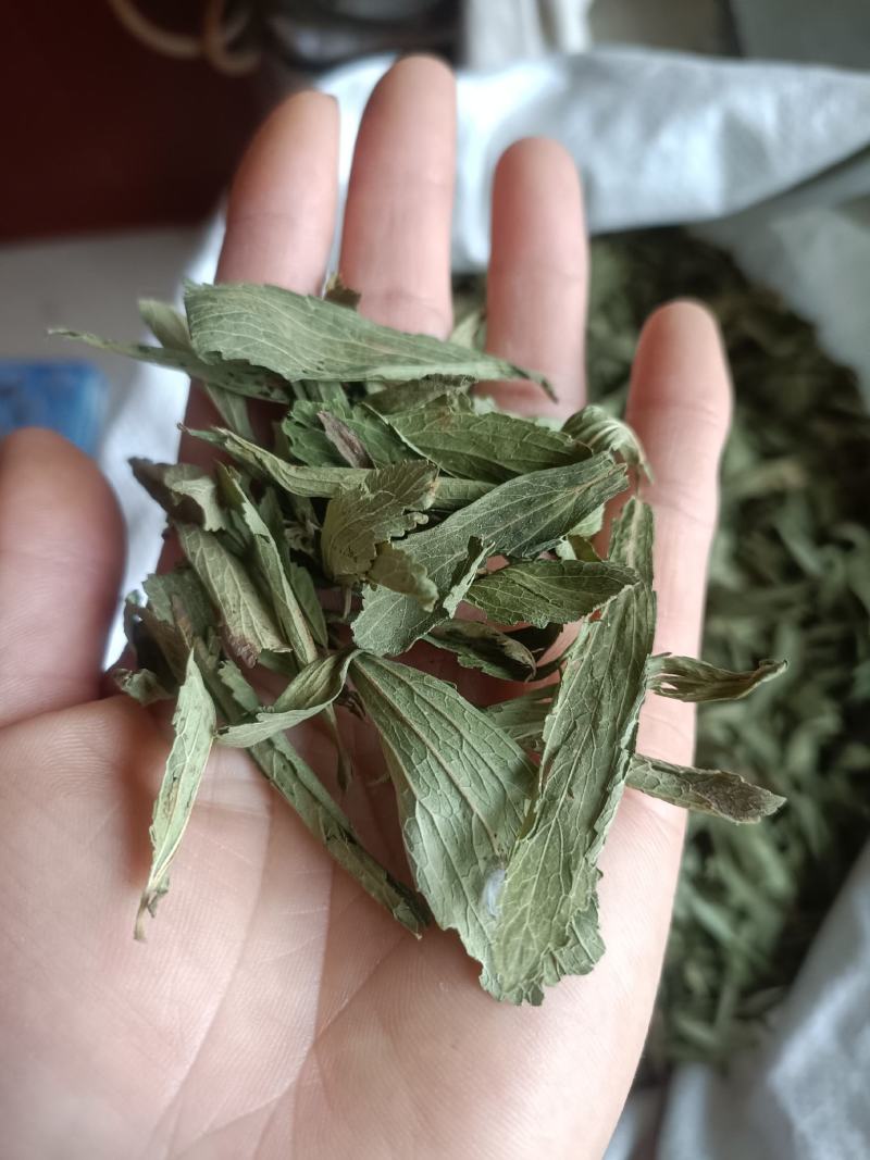 甜叶菊，新货无杂质，药茶两用，全国发货，欢迎选购