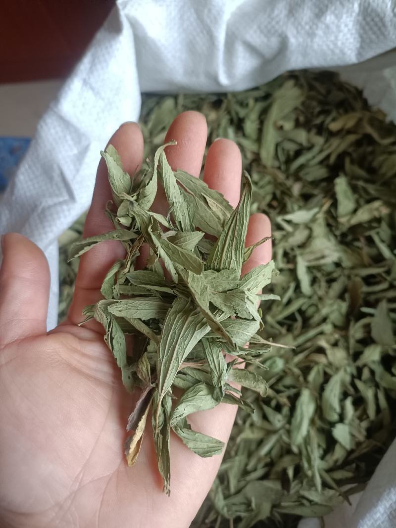 甜叶菊，新货无杂质，药茶两用，全国发货，欢迎选购