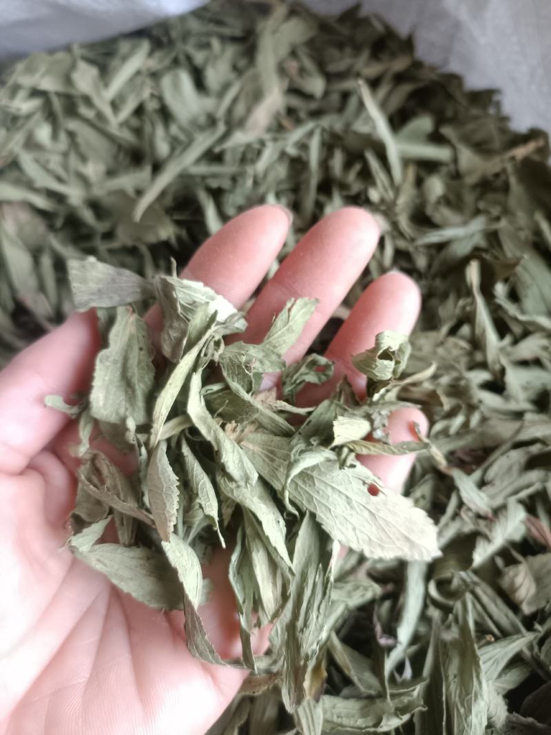 甜叶菊，新货无杂质，药茶两用，全国发货，欢迎选购