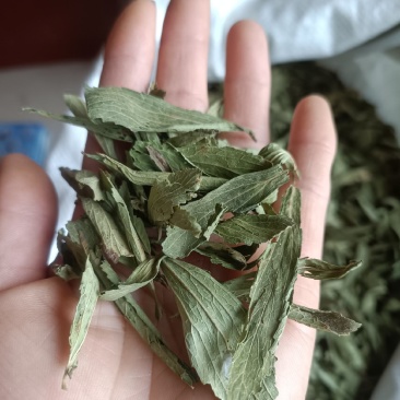 甜叶菊，新货无杂质，药茶两用，全国发货，欢迎选购