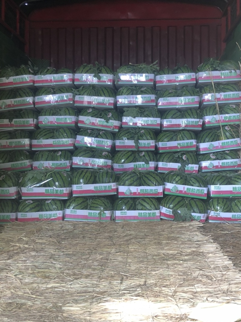 河南商丘精品麒麟西瓜头茬好货大小都有提供纸箱托盘视频实地看货