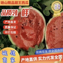 砀山县佳蜜308甜王总代理，我的品种保证你买了还会再买，