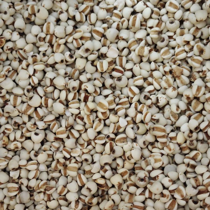 薏米，苡米大薏米，小薏米无沫过筛无硫，一手货源，保质保量