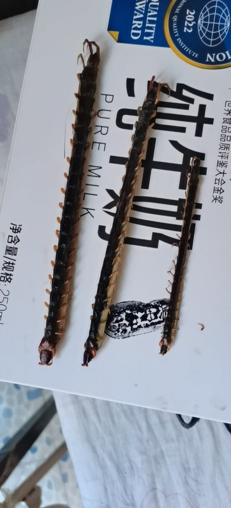 蜈蚣