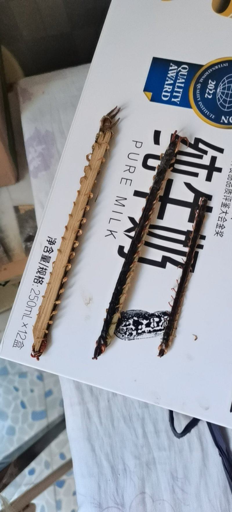 蜈蚣