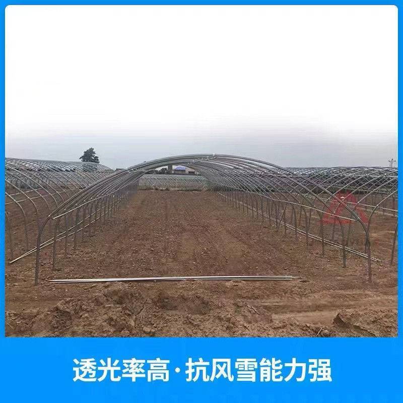 钢结构种植大棚保温钢管棚建设薄膜拱型设计日光温室