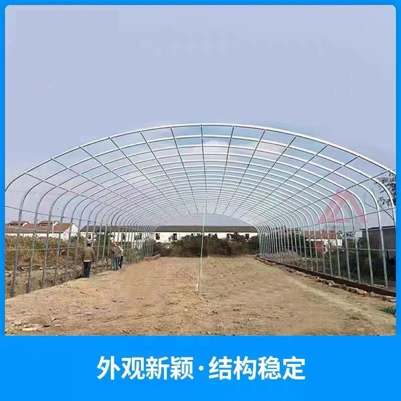 钢结构种植大棚保温钢管棚建设薄膜拱型设计日光温室