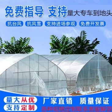 钢结构种植大棚保温钢管棚建设薄膜拱型设计日光温室