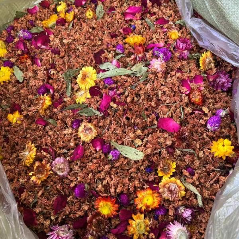 清热百花花