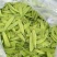 芸豆架豆王四季豆花芸豆规格多样价格优惠，欢迎采购
