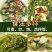海带丝干货圆盘海带丝烘干海带丝