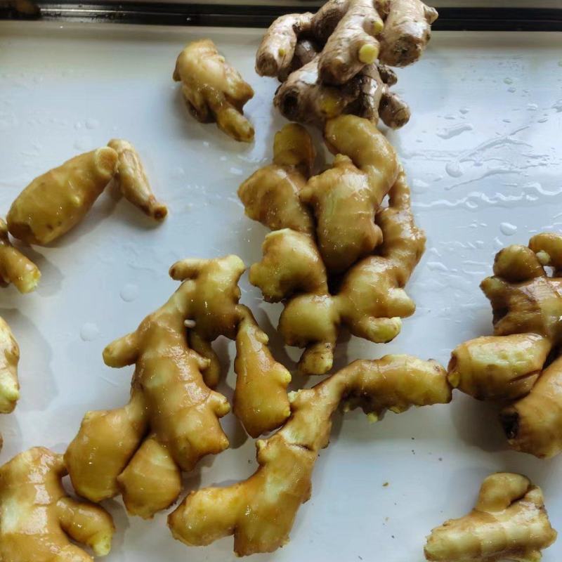 大黄姜生姜价格，山东生姜价格