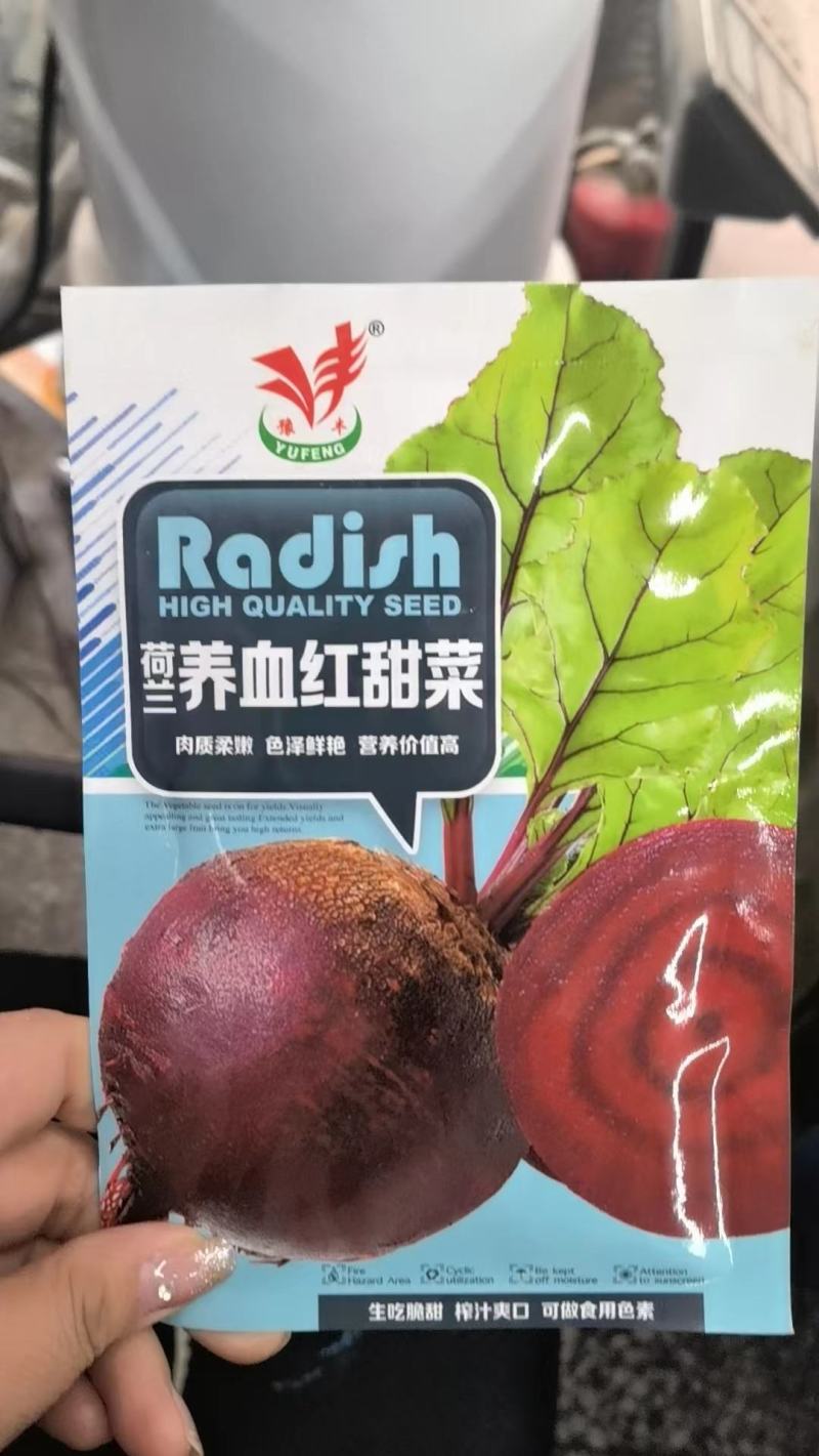 红甜菜根种子多彩甜菜种子高产甜菜种子农家老品种含糖量