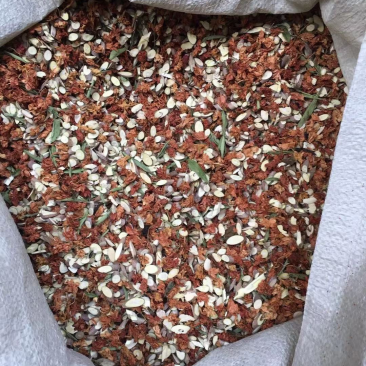 金龙茶