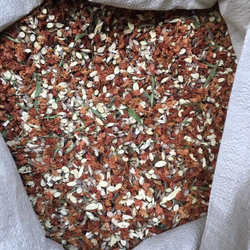 金龙茶