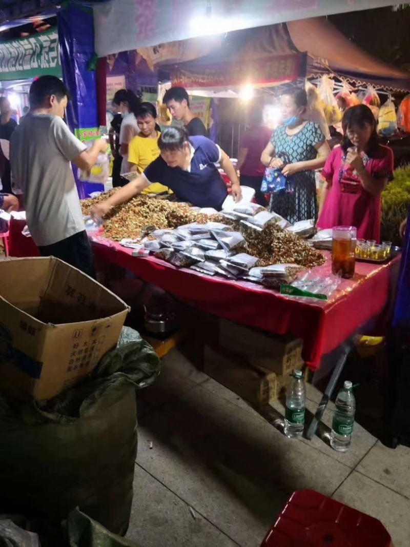 金龙茶