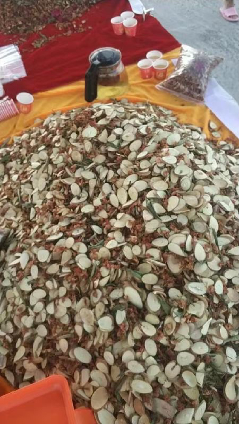 金龙茶