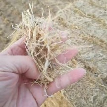 精品大包柔丝稻草