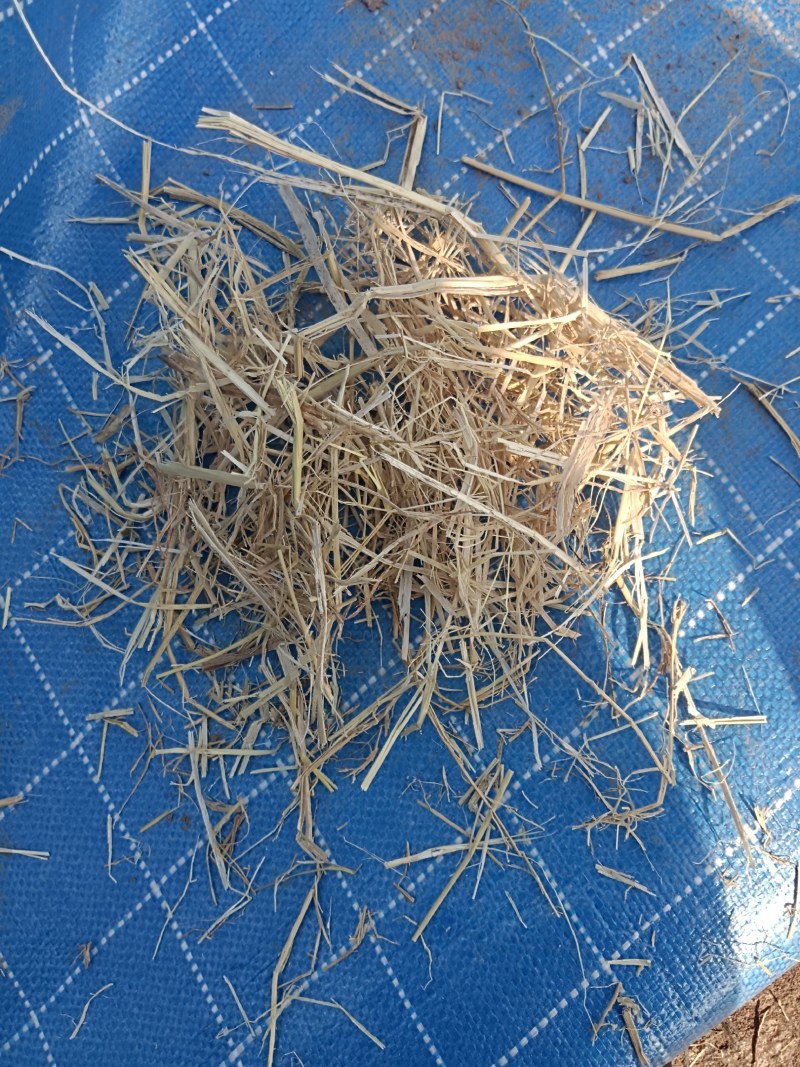 精品大包柔丝稻草