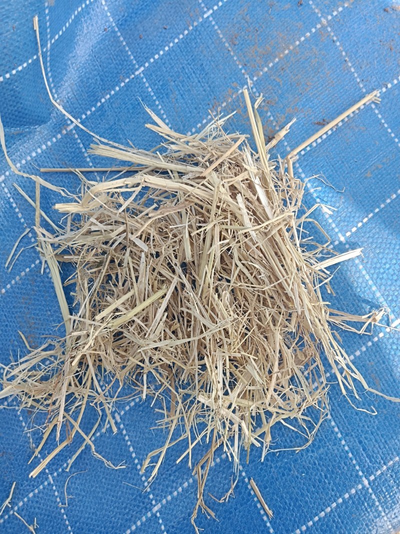 精品大包柔丝稻草