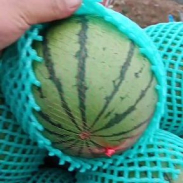 大量供应欢迎各位老板前来选购，保证质量，