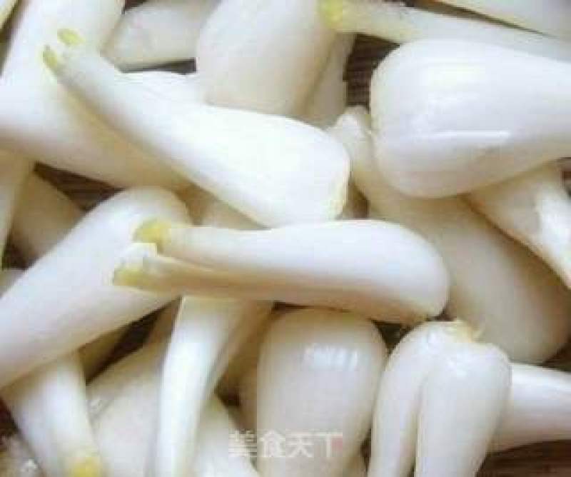 四川宜宾藠头诚信经营品质保证欢迎订购
