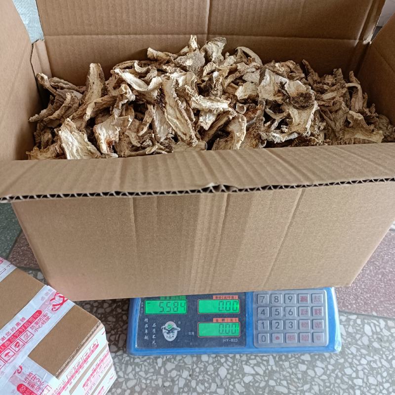 四叶参山海螺羊奶参山胡萝卜饮片干货自然晒干
