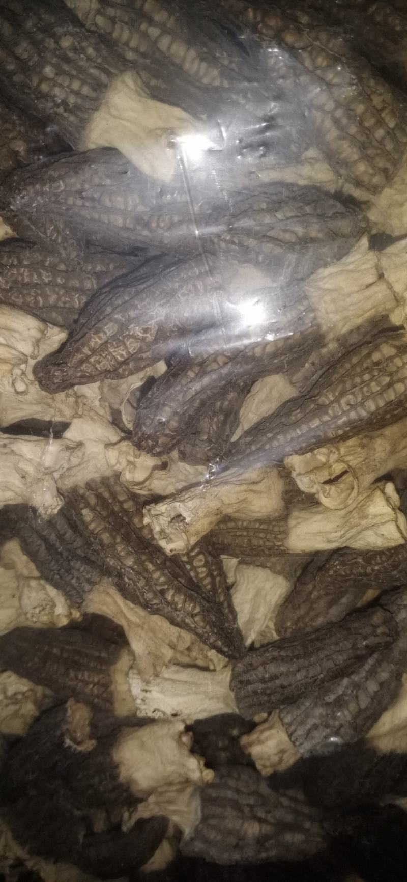 羊肚菌出售