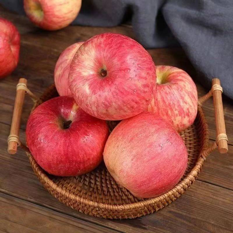 山东富士苹果新鲜脆甜冰糖心苹果应季水果