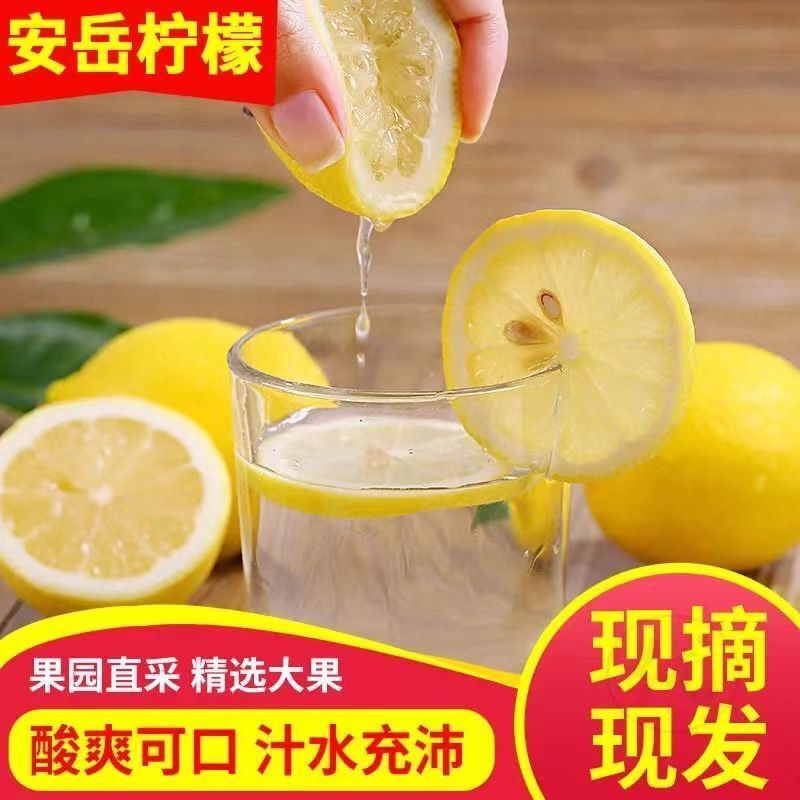 柠檬鲜果、干片。零售、批发。