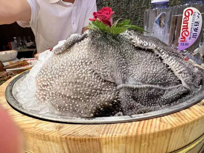 毛肚水牛大叶片黄牛大叶对接火锅店电商货量大