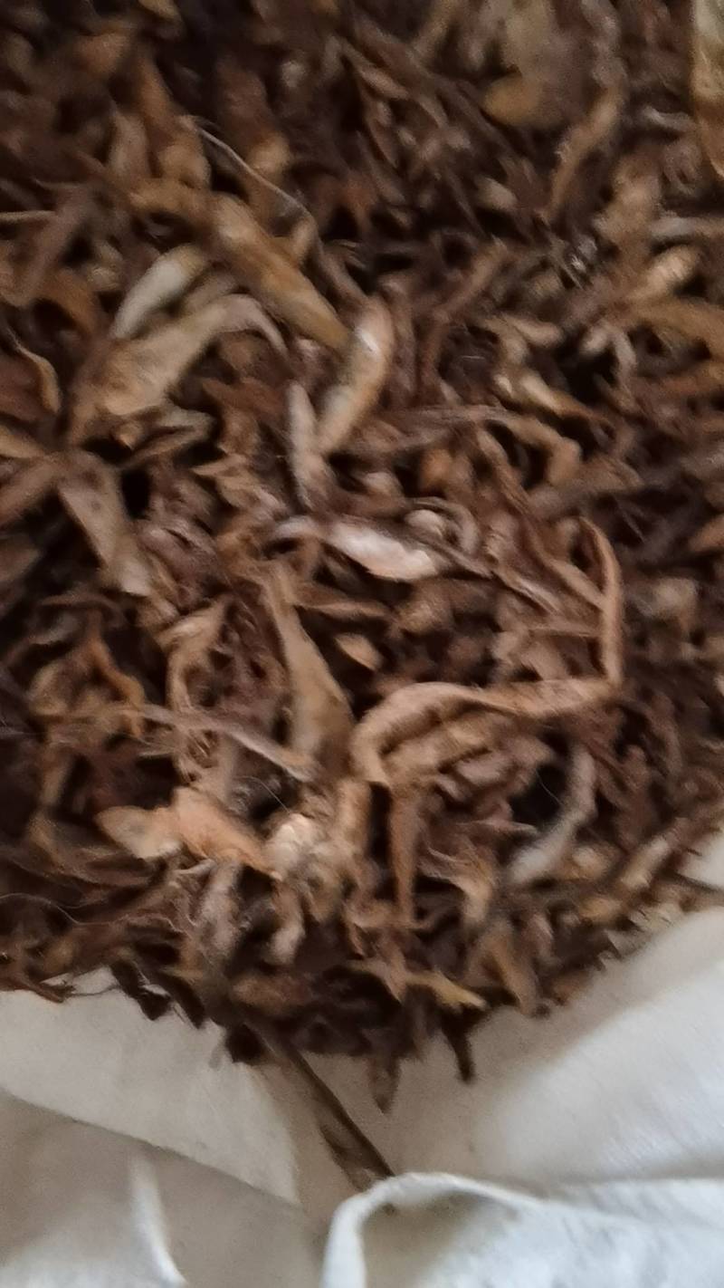 饲料鱼干小杂鱼干鱼