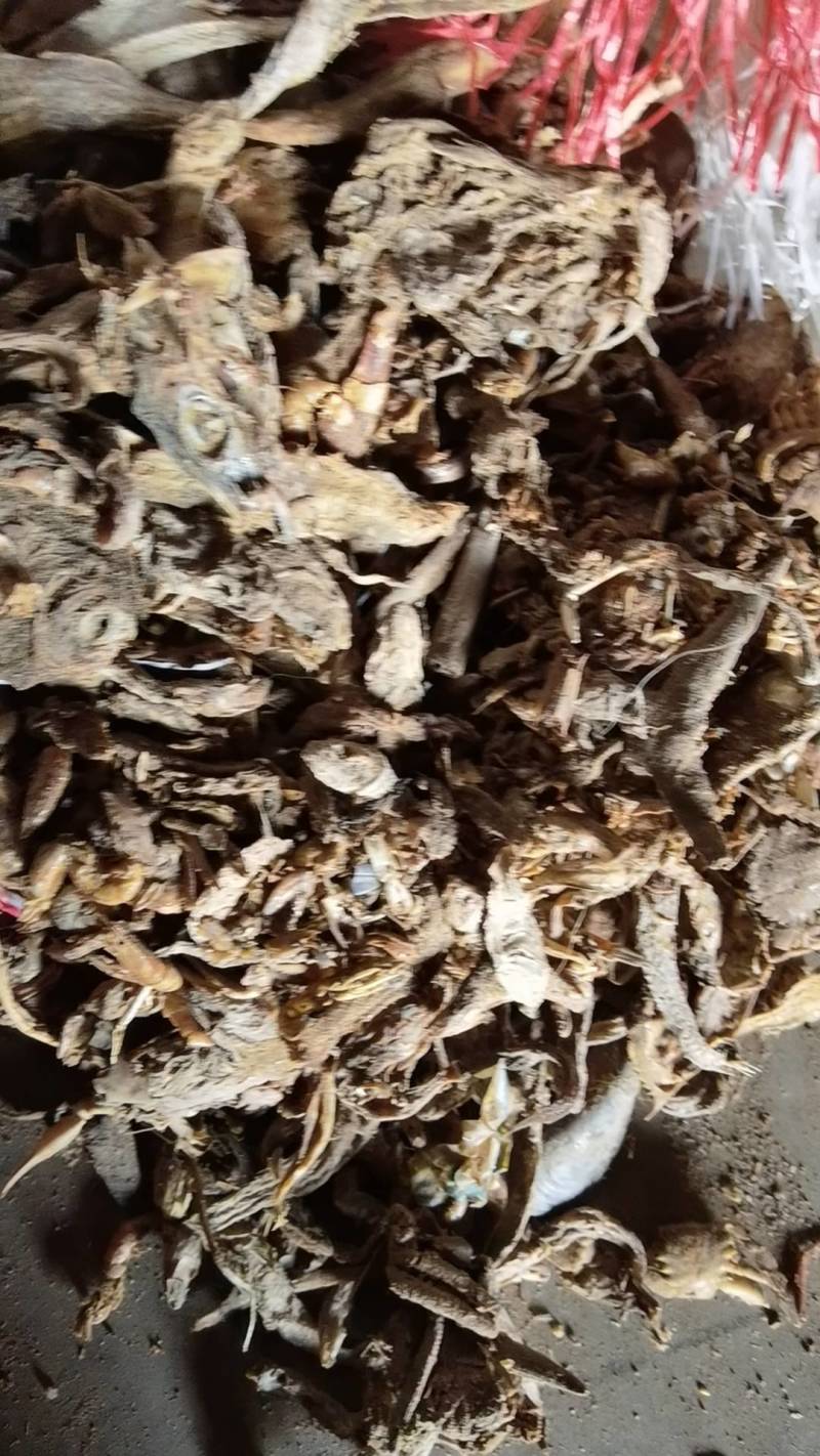 饲料鱼干小杂鱼干鱼